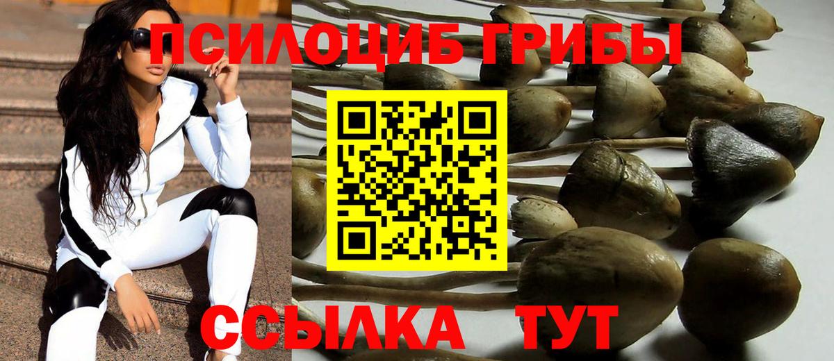 Азнакаево  Псилоцибиновые грибы Psilocybe  Вход с VPN 