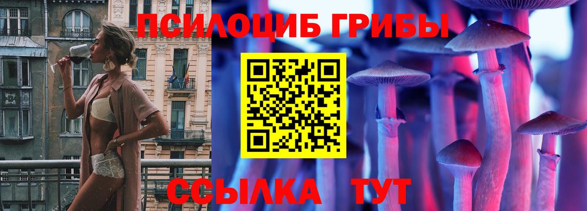 Псилоцибиновые грибы Psilocybine cubensis Азнакаево